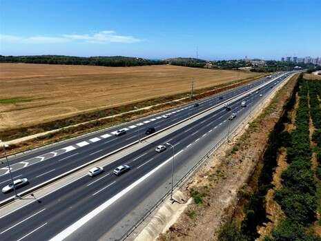 צילום: דב גרינבלט, החברה להגנת הטבע צילום: דב גרינבלט, החברה להגנת הטבע