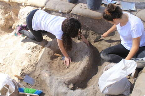 צילום: ורד בוסידן, רשות העתיקות צילום: ורד בוסידן, רשות העתיקות