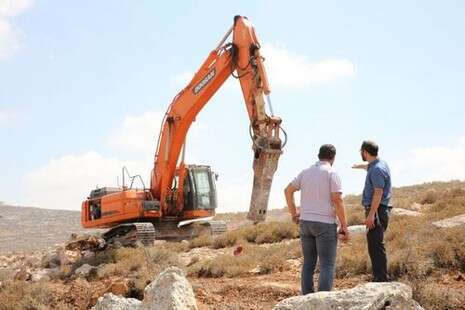 צילום: הלל מאיר/ TPS צילום: הלל מאיר/ TPS