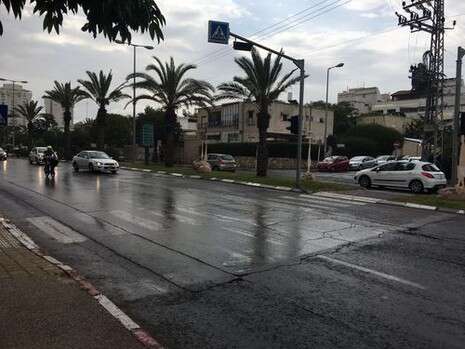 תומר ברנד תומר ברנד