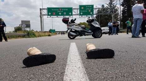 צילום: דני מרון צילום: דני מרון