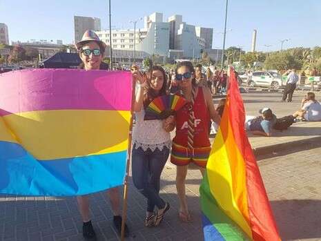צילום: דודו גרינשפן צילום: דודו גרינשפן