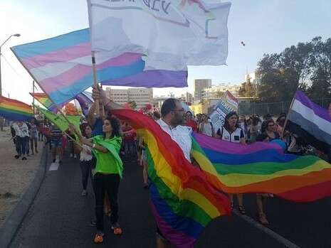 צילום: דודו גרינשפן צילום: דודו גרינשפן