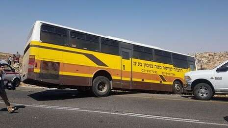 צילום: הלל מאיר/ TPS צילום: הלל מאיר/ TPS