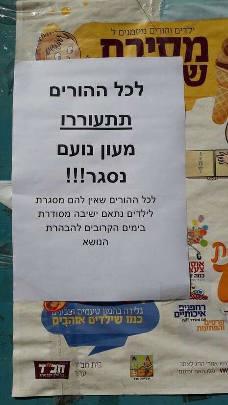 צילום: שקד אריאלי צילום: שקד אריאלי