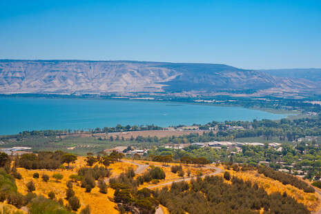 צילום: shutterstock צילום: shutterstock