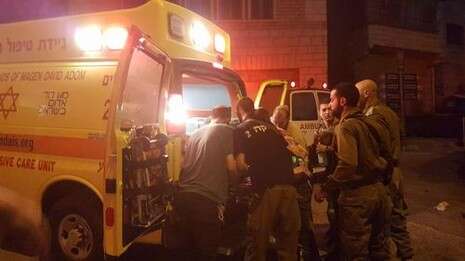 צילום אילוסטרציה: TPS צילום אילוסטרציה: TPS