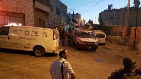 צילום:TPS צילום:TPS