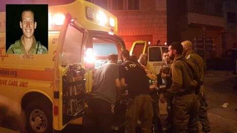 צילום: TPS צילום: TPS