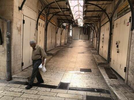 צילום: אריאל שנבל צילום: אריאל שנבל