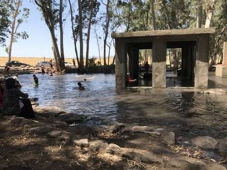 צילום: אריאל שנבל צילום: אריאל שנבל