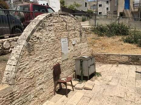 צילום: אריאל שנבל צילום: אריאל שנבל