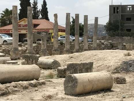 צילום: אריאל שנבל צילום: אריאל שנבל