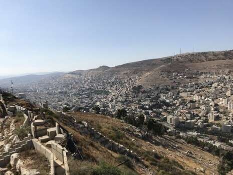 צילום: אריאל שנבל צילום: אריאל שנבל