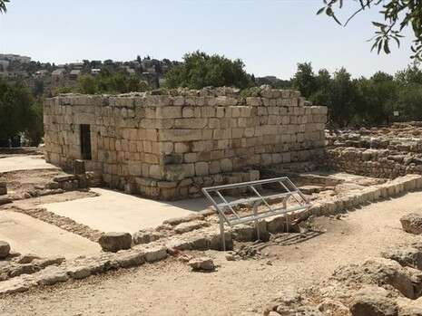צילום: אריאל שנבל צילום: אריאל שנבל
