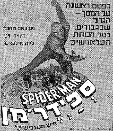 צילום: ארכיון צילום: ארכיון