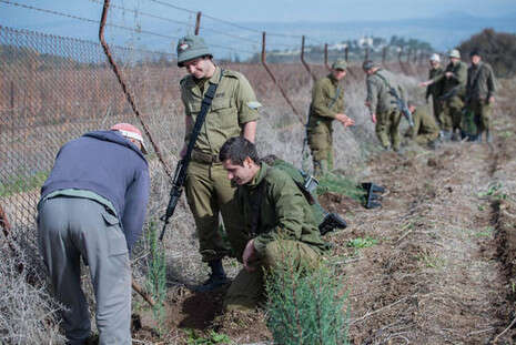 צילום: אייל מרגולין/ ג'יני צילום: אייל מרגולין/ ג'יני