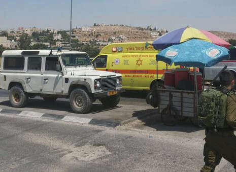 צילום: חנן גרינווד צילום: חנן גרינווד