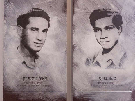 צילום: הדס פרוש, פלאש 90 צילום: הדס פרוש, פלאש 90