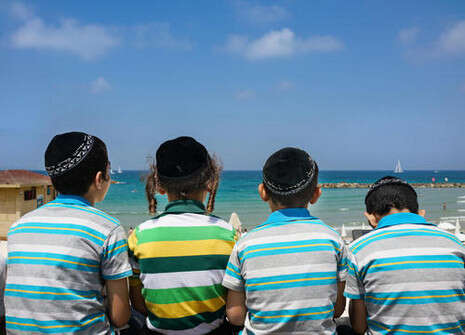 צילום: שאטרסטוק צילום: שאטרסטוק
