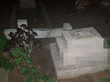 צילום: דוברות המשטרה צילום: דוברות המשטרה