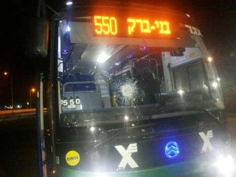 צילום: ורוניק אורסט צילום: ורוניק אורסט