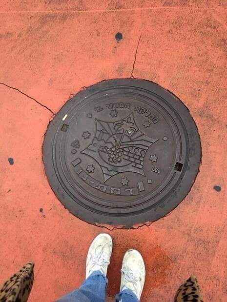 צילום: זואי שירי צילום: זואי שירי