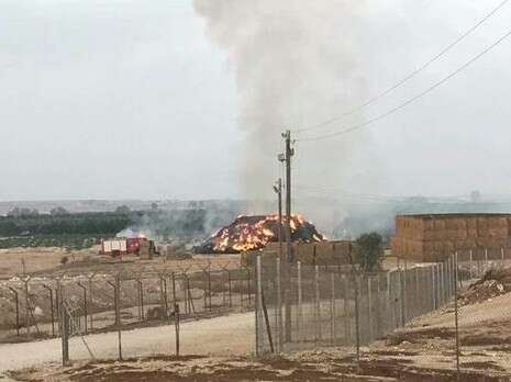 צילום: קיבוץ רביבים צילום: קיבוץ רביבים