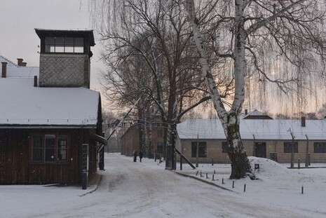 צילום: Auschwitz Birkenau State Museum Musealia