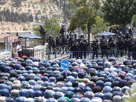 צילום: מרים אלסטר, פלאש 90 צילום: מרים אלסטר, פלאש 90