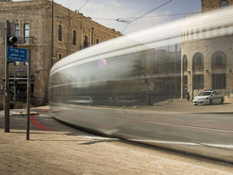 צילום: אריק (אריה) יהודה דנינו צילום: אריק (אריה) יהודה דנינו