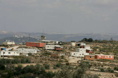 צילום: מירי צחי צילום: מירי צחי