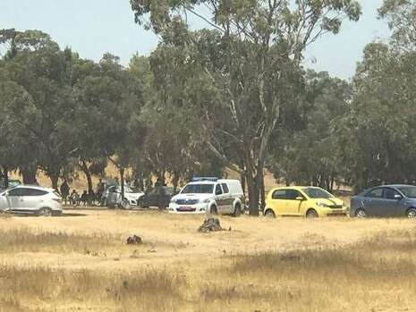 צילום: דוברות המשטרה צילום: דוברות המשטרה