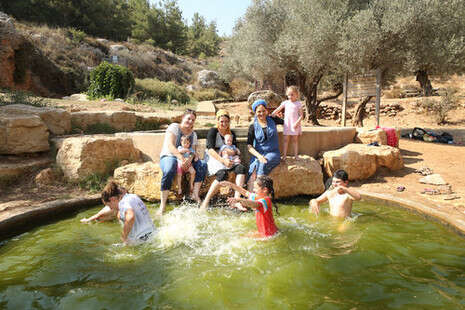 צילום: מירי צחי צילום: מירי צחי