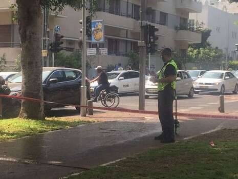 צילום: קוקו צילום: קוקו