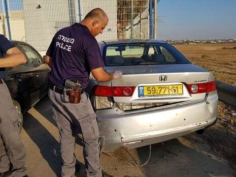 צילום: דודו גרינשפן צילום: דודו גרינשפן