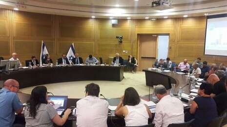 צילום: שירית אביטן כהן צילום: שירית אביטן כהן