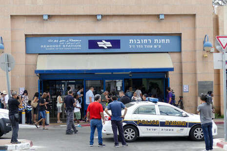 צילום: דני מרון צילום: דני מרון