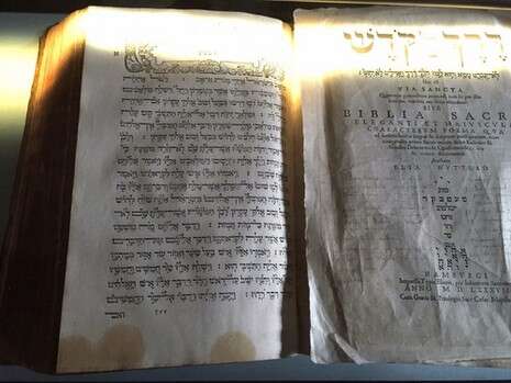 צילום: ד''ר רוביק רוזנטל צילום: ד''ר רוביק רוזנטל