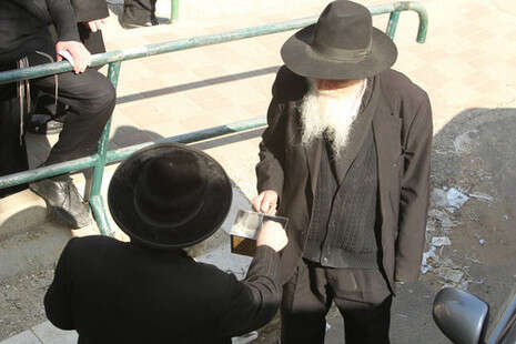 צילום: מירי צחי צילום: מירי צחי