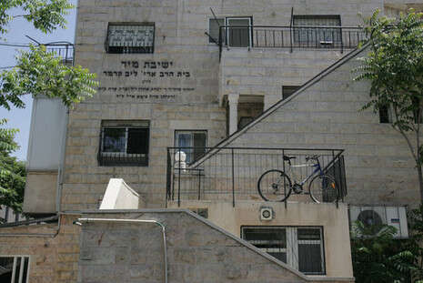 צילום: מירי צחי צילום: מירי צחי
