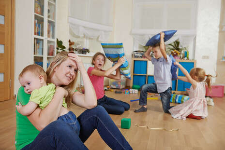 צילום: shutterstock צילום: shutterstock