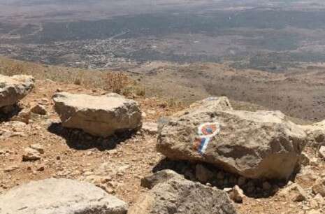 צילום: יאיר קראוס צילום: יאיר קראוס