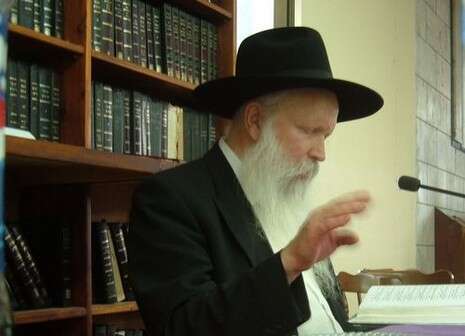 צילום: melamed צילום: melamed