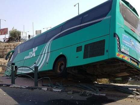 צילום: רונן גריזק, דוברות מד''א צילום: רונן גריזק, דוברות מד''א