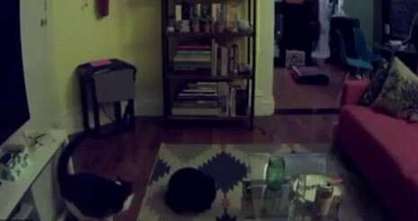 ����� ���: ���� ������