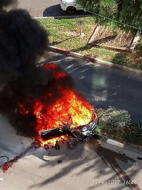 צילום: שלמה גוטליב צילום: שלמה גוטליב