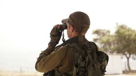 צילום: דו''צ צילום: דו''צ
