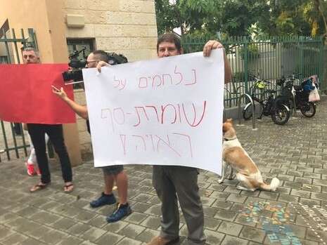 צילום: יאיר גולן צילום: יאיר גולן
