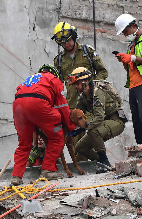 צילום: AFP צילום: AFP